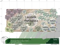 Pflanzenset für 4m² Gartenbeet nach Standort