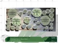Pflanzenset für 4m² Gartenbeet nach Standort