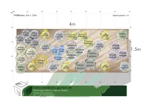 Pflanzenset für 6m² Gartenbeet nach...